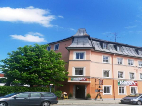  Hotel Rosenheimer Hof  Траунройт